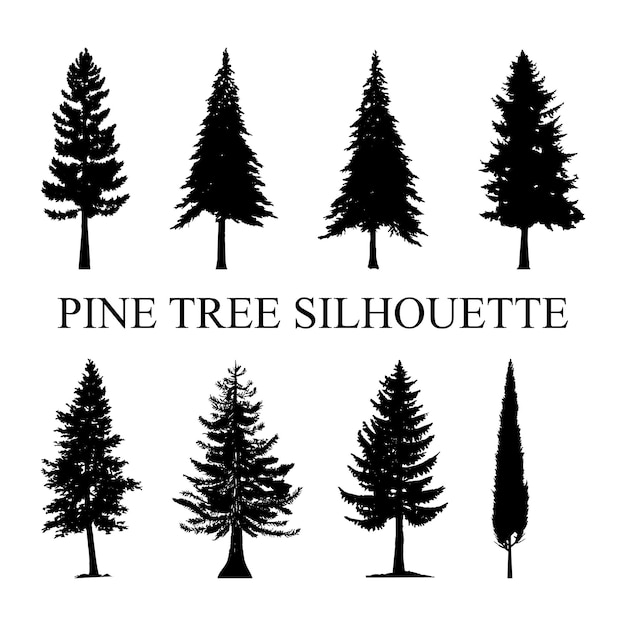 Pin, Silhouette, Arbre Pin