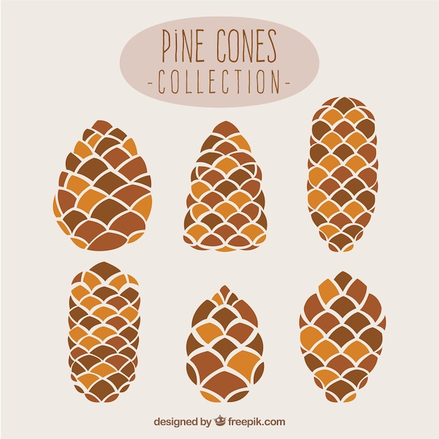 Pine Cone Collection