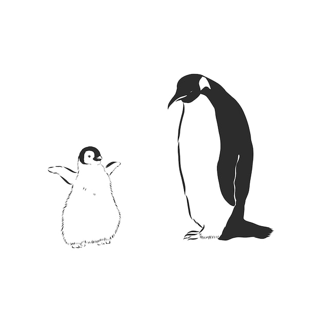 Pingouins de dessin à la main. Illustration vectorielle, pingouin, illustration de croquis de vecteur