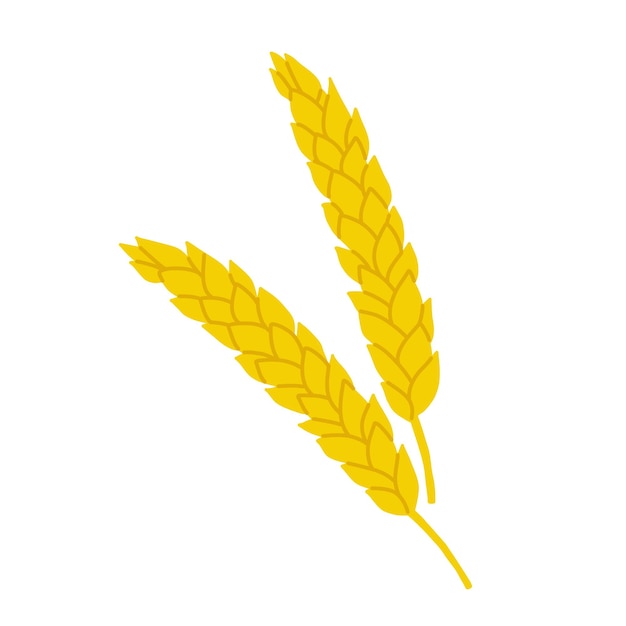 Épis de grain jaune d'orge de seigle pour la bière Élément de conception Fond vectoriel