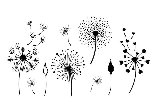 Vecteur pissenlit clipart noir et blanc bundle élégant été fleurs sauvages mis illustration vectorielle