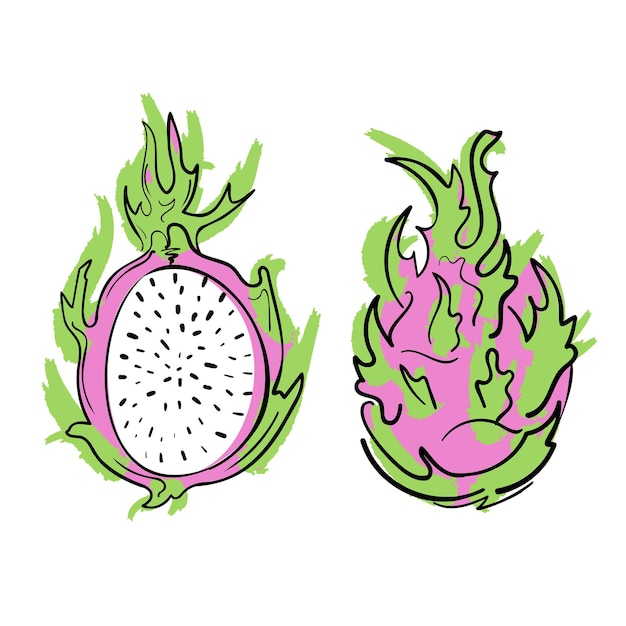 Pitahaya Aux Fruits Du Dragon Peints Mignons