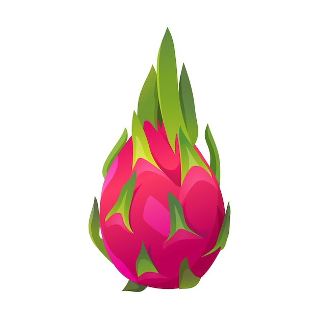 Pitaya de fruit de dragon frais isolé sur fond blanc