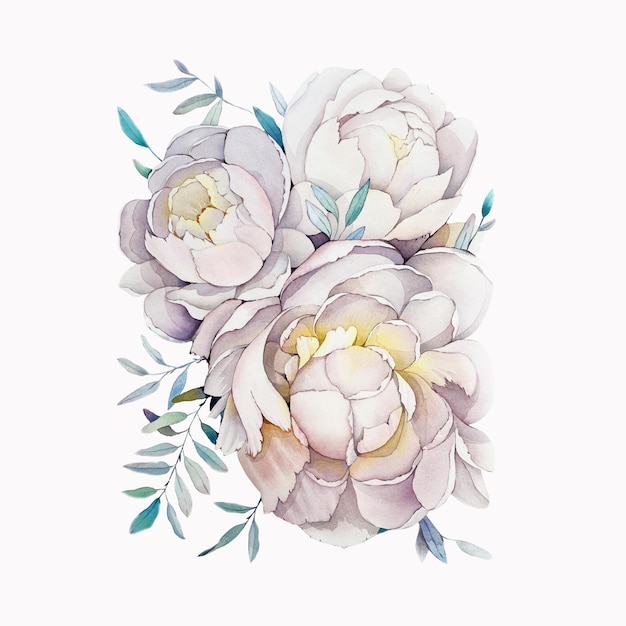 Pivoine blanche aquarelle aquarelle affiche impression peinture fleur botanique botanique art chambre décor