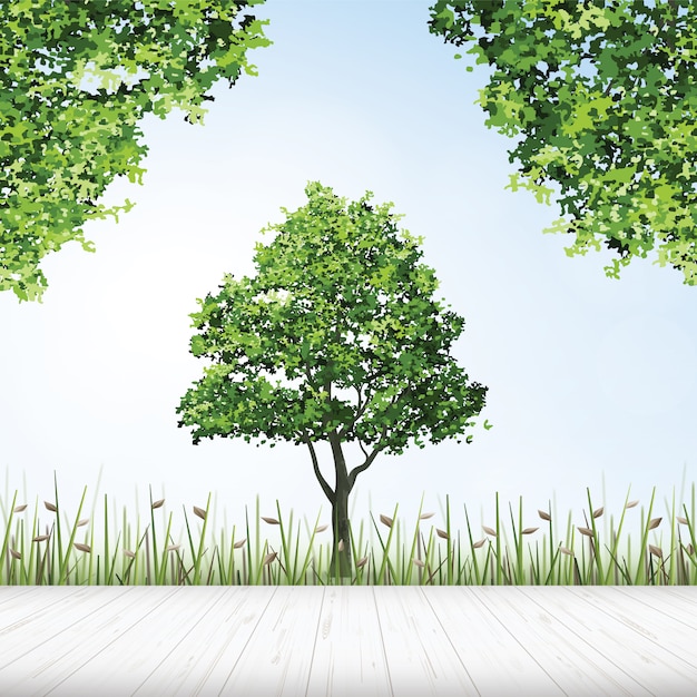 Plancher en bois avec cadre d'arbre vert.