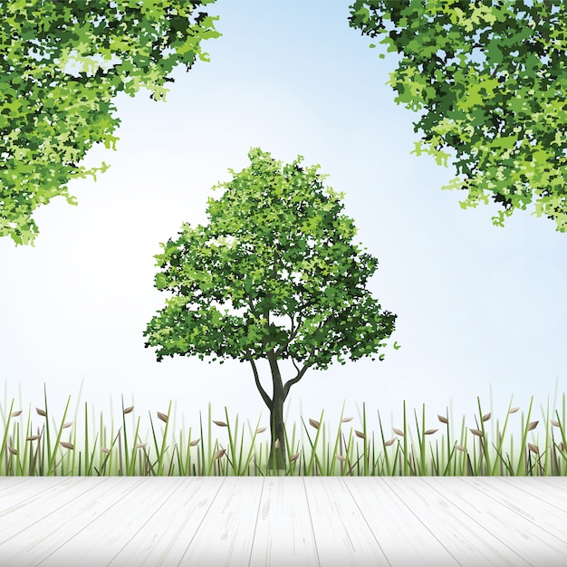 Plancher En Bois Avec Cadre D'arbre Vert.