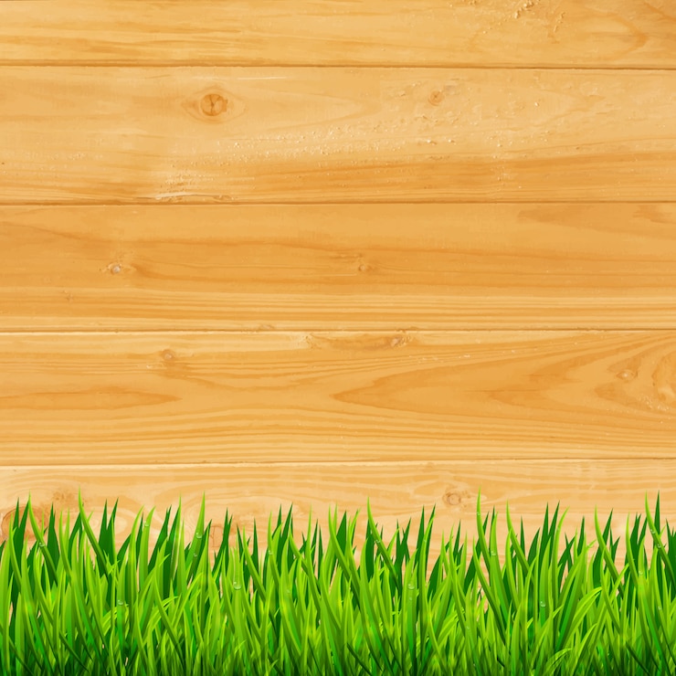 Vecteur planches de bois avec fond d'herbe verte