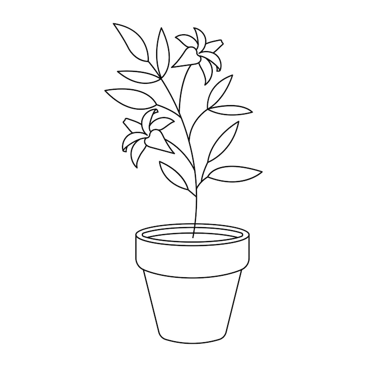 Vecteur plante d'accueil dans une illustration vectorielle de pot