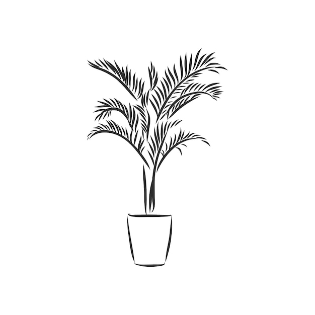 Plante D'art Au Trait En Pot Dessin De Contour De Vecteur