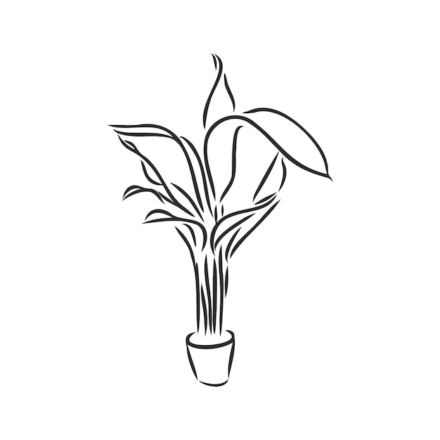 Plante D'art De Ligne En Croquis De Vecteur De Plante D'intérieur De Pot Sur Un Fond Blanc