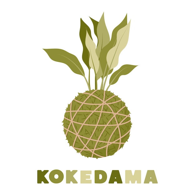 Plante De Boule De Mousse Japonaise Kokedama Jardinage à La Maison Illustration Vectorielle