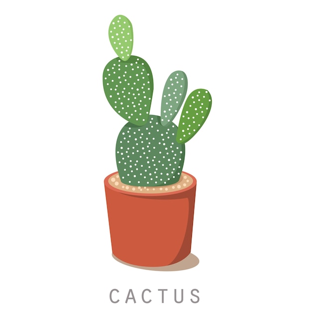 plante de cactus isolé sur blanc
