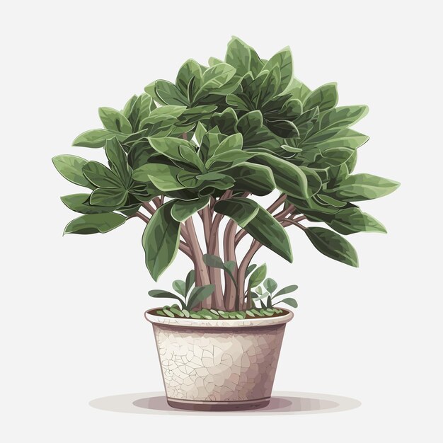 Vecteur plante dans un pot en illustration de dessin animé nature