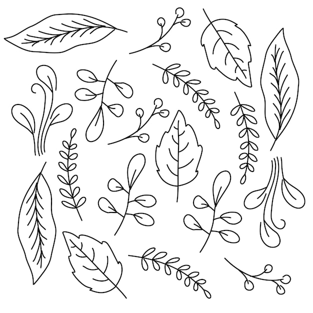 Plante de feuilles sertie de dessin vectoriel de style doodle line