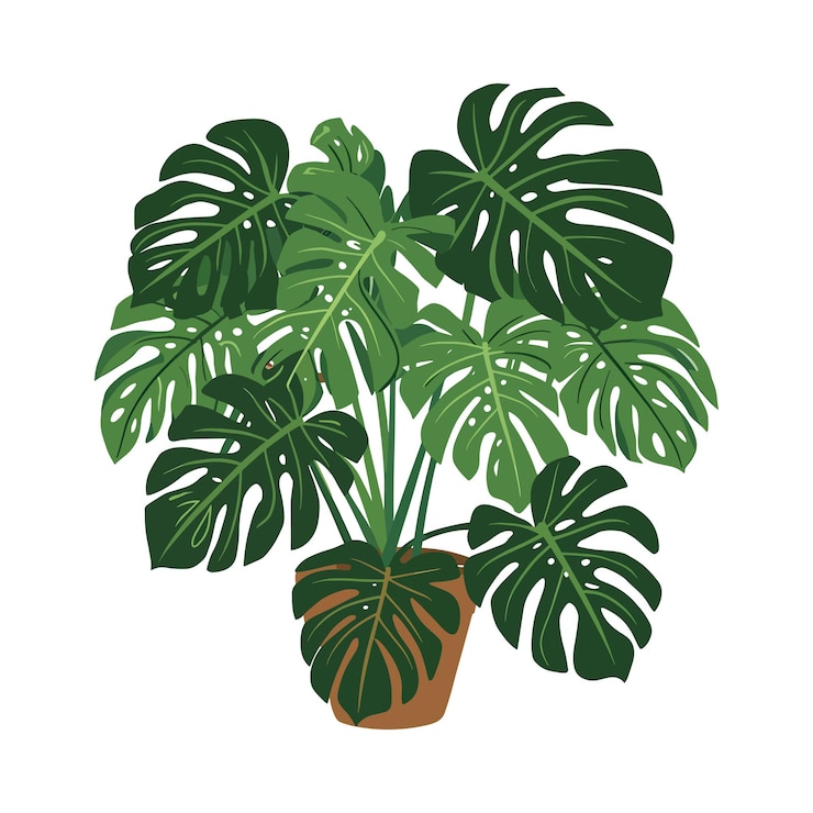Vecteur une plante avec des feuilles vertes et un fond blanc