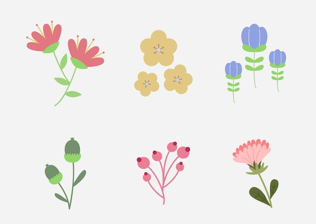 Plante Fleur