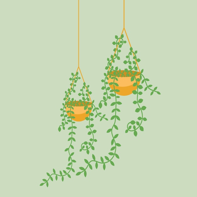 Plante en illustration vectorielle de pot Dessin animé plat différentes plantes d'intérieur décoratives en pot d'intérieur pour la décoration intérieure de la maison ou du bureau icônes de collection florale de jardin vert isolées
