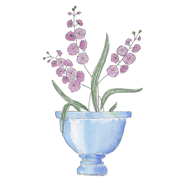 Plante d'intérieur aquarelle isolé sur fond blanc Aquarelle et doublure