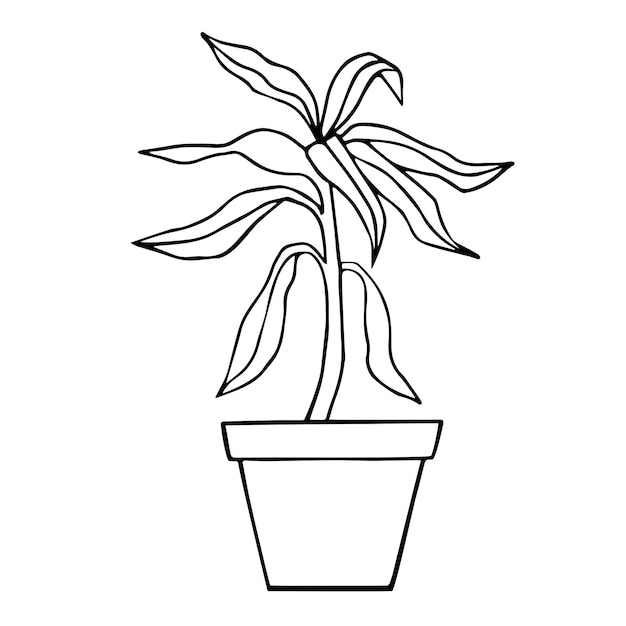 Plante D'intérieur Dans Un Dessin De Contour Noir Et Blanc En Pot