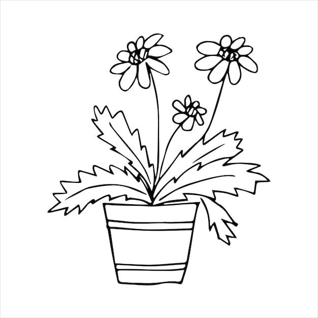 Plante d'intérieur dessinée à la main dans un pot doodle design Plantes d'intérieur Illustration