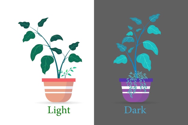 Vecteur plante d'intérieur à fonds clairs et foncés