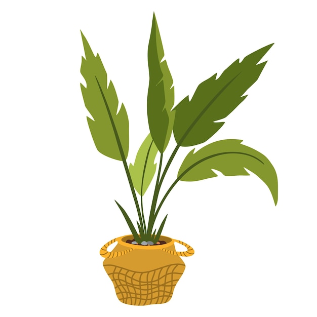 Plante D'intérieur En Pot Plante D'intérieur à Feuillage Poussant Dans Un Pot De Fleurs Illustration Vectorielle De Décor Intérieur Naturel