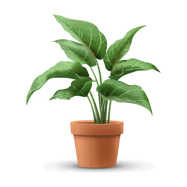 plante d'intérieur vecteur dans un pot de fleurs brun sur fond blanc