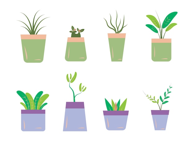 Vecteur plante de jardin à la maison en pot décor de plante d'intérieur ensemble d'illustrations vectorielles