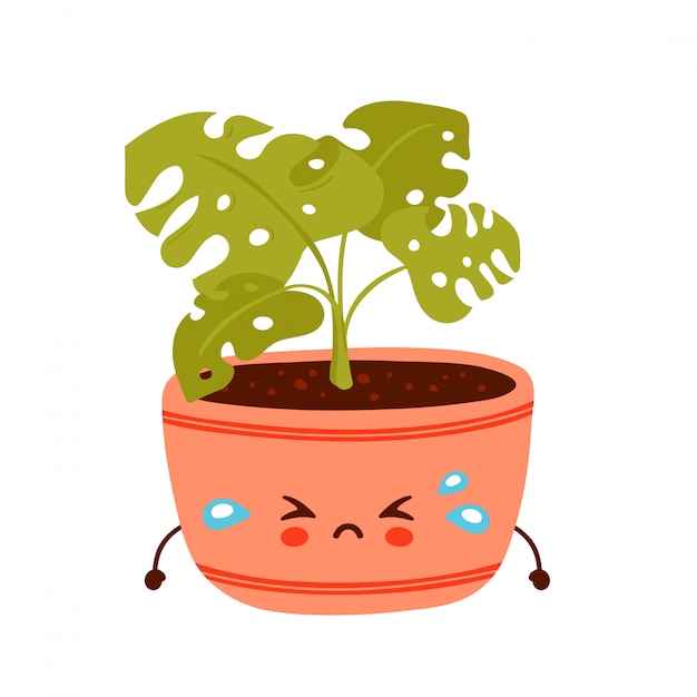 Plante Monstera Drôle Triste Mignon En Pot. Conception D'illustration De Personnage De Dessin Animé De Vecteur.