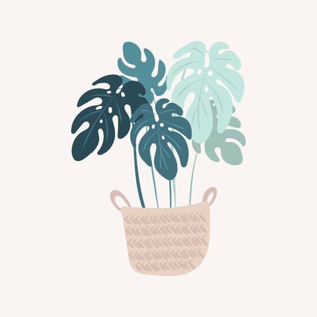 Vecteur plante monstera en pot.