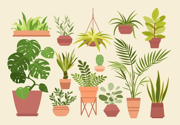 Plante En Pot, Dessin Animé Différentes Plantes D'intérieur Décoratives En Pot Pour La Maison Intérieure