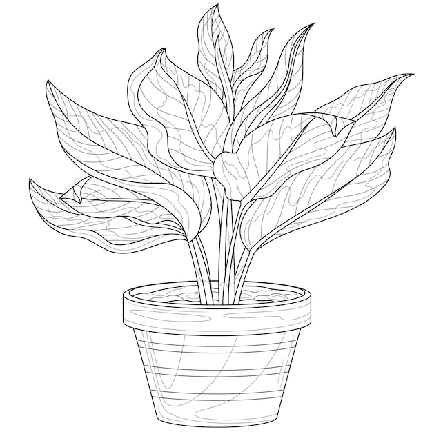 Vecteur plante en potlivre de coloriage antistress pour enfants et adultes