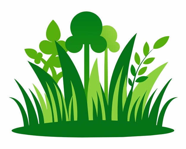 une plante verte avec des feuilles et une image d'une plante dessus