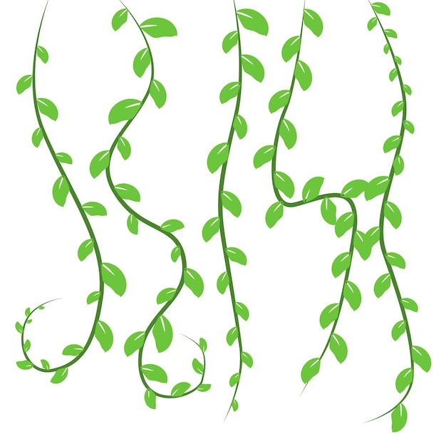une plante verte avec des feuilles vertes qui dit griffonner