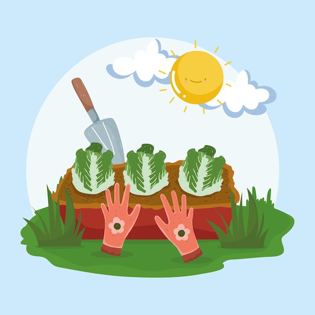 Planter Des Salades Et Des Outils