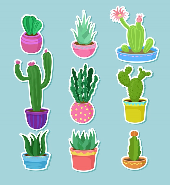 Plantes De Cactus à La Maison En Pots Avec Ensemble De Fleurs, Variété D'autocollants Décoratifs De Cactus Illustrations