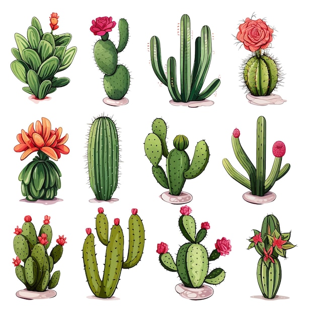 Vecteur plantes de cactus et plantes succulentes clipart vectoriel fond blanc