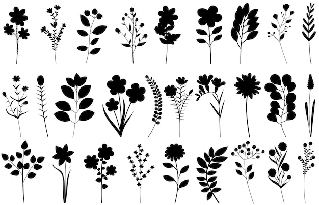 Plantes Définies Silhouette Noire Vecteur Isolé