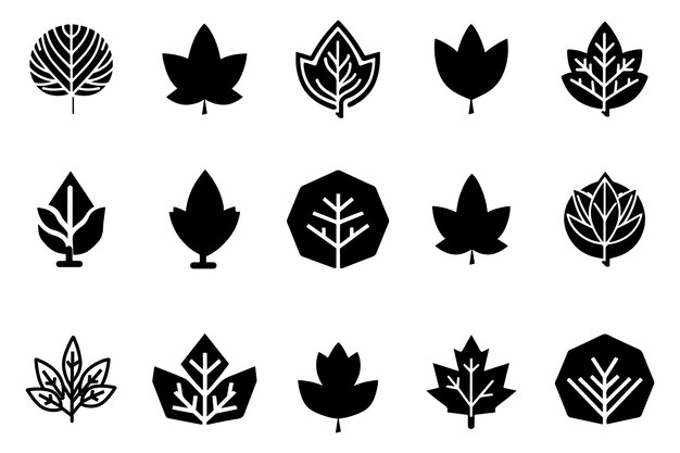 Plantes et feuilles Set vectoriel Contour Silhouette Icones en fond blanc Design vectoriel de feuilles de fleurs