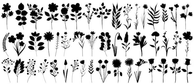 Plantes Fleurs Set Silhouette Collection Vecteur Isolé