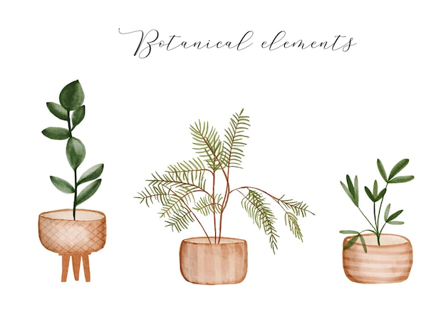 Plantes D'intérieur à L'aquarelle Dessinées à La Main Dans Un Pot Fait Main élément Floral Isolé Sur Fond Blanc