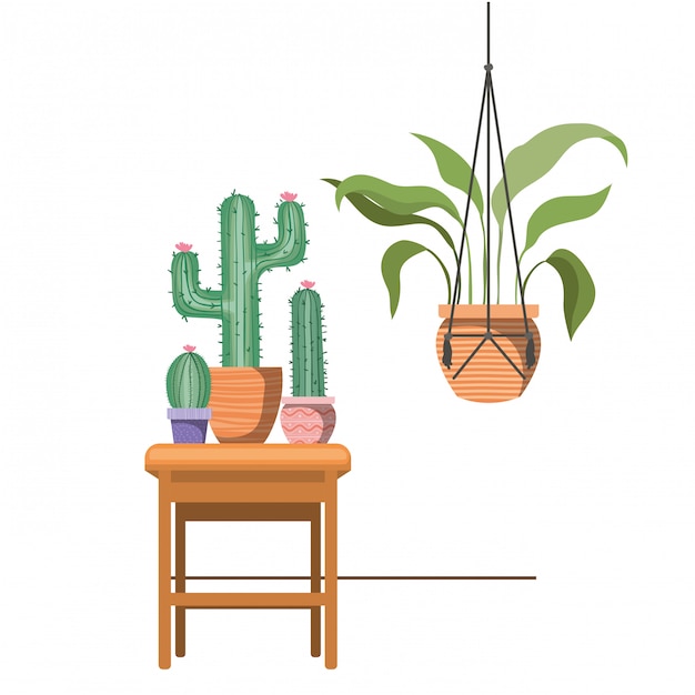 Plantes D'intérieur Sur Des Cintres Et Une Table En Macramé