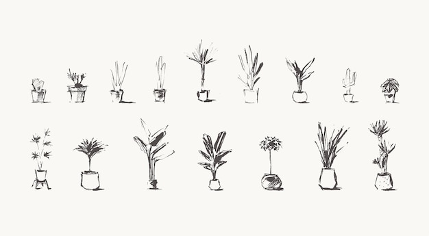 Vecteur plantes d'intérieur dessinées à la main. tendance maison verdure en pots