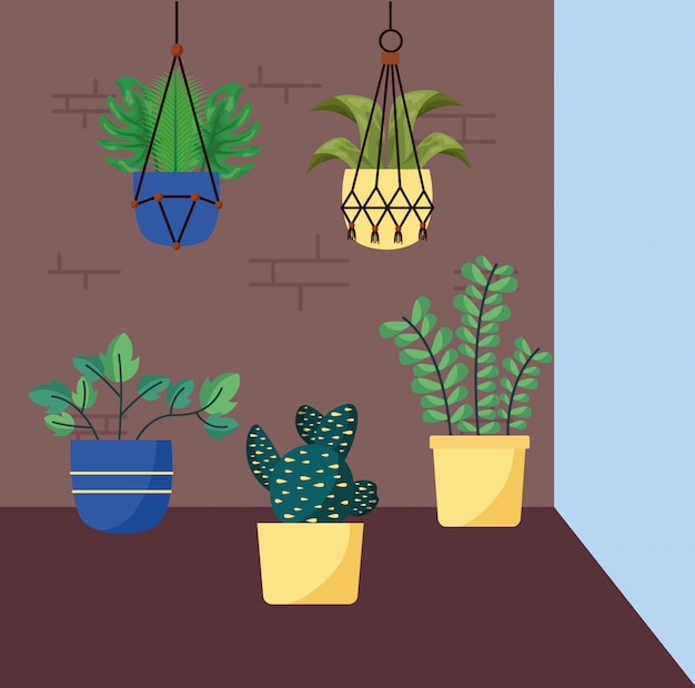 Plantes d'intérieur isolées à l'intérieur du vecteur de pots
