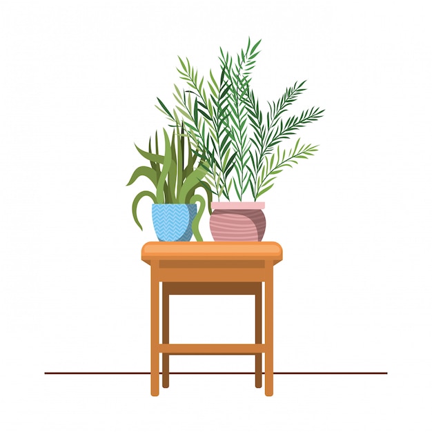 Plantes d'intérieur avec en pot sur la table