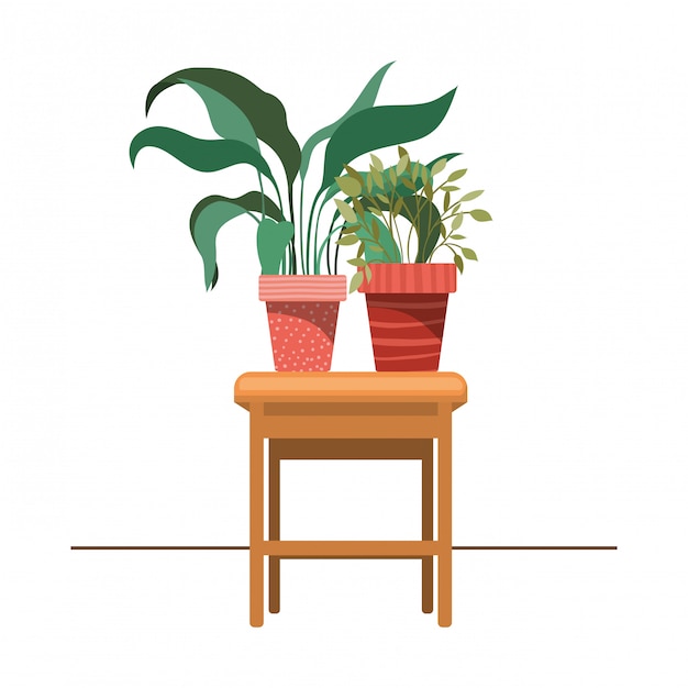 Plantes d'intérieur avec en pot sur la table