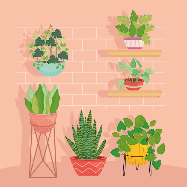 Plantes à l'intérieur de pots en face de la conception de mur de briques de jardin nature florale et thème d'ornement Vector illustration