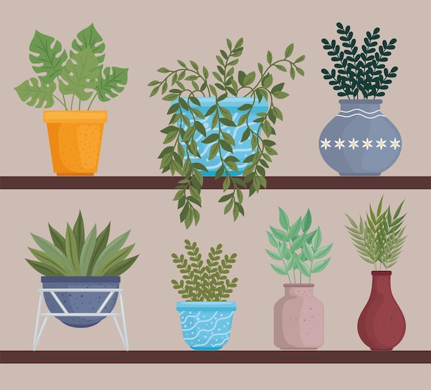 Plantes D'intérieur Avec Pots