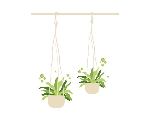 plantes d'intérieur suspendues icône isolée conception d'illustration vectorielle