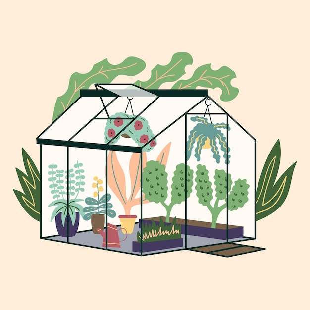 Vecteur plantes de jardin à effet de serre modernes en verre pots de fleurs de lierre frisé jardin jardin de verre d'hiver